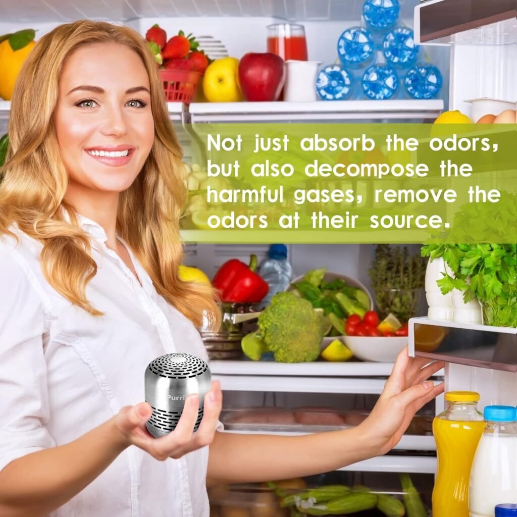 Refrigerator Deodorizer